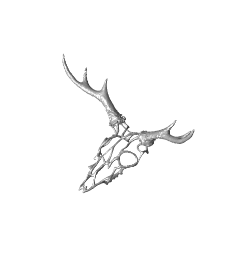 Wire Skull // Deer 3d model