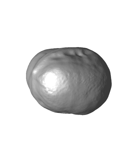 nuts（generated by Revopoint POP） 3d model