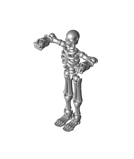 skeleton  3d model