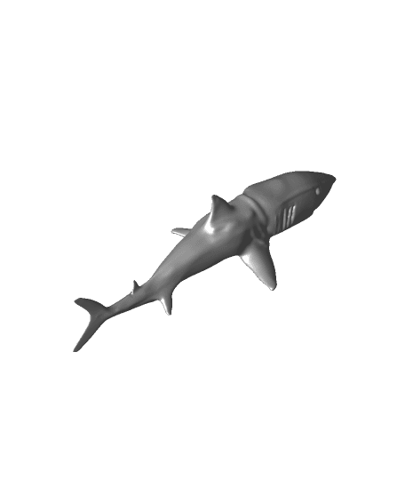 shark.stl 3d model
