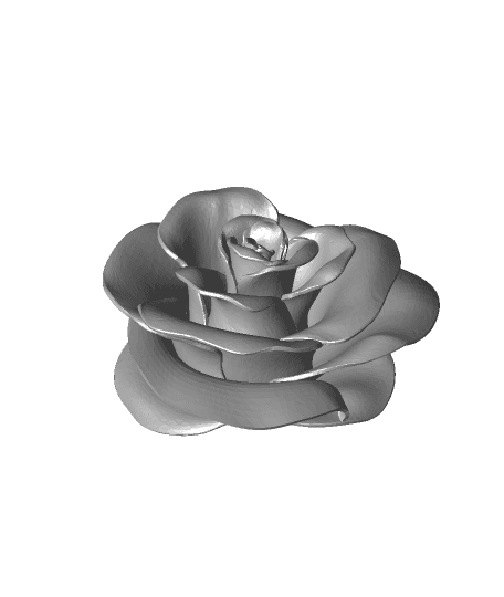 Rose No Stem 3d model