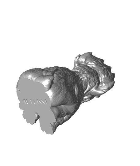 Baby Tricereatops - Support-less  3d model