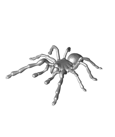 tarantula family of wolf spiders.stl 3d model