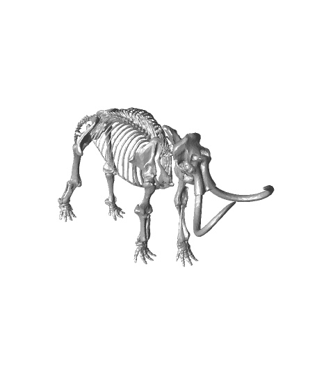 Wooly Mammoth Skeleton 3d model