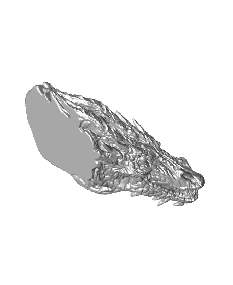 Smaug - Wall Decoration 3d model