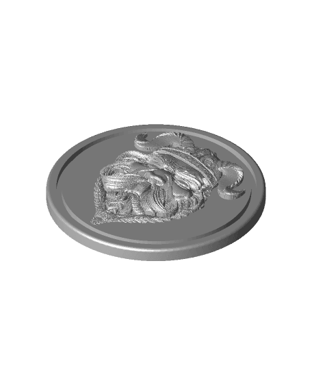 Viking Warrior Coin 3d model