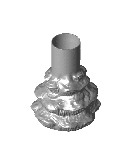 Vase “abietinum fungus” 3d model