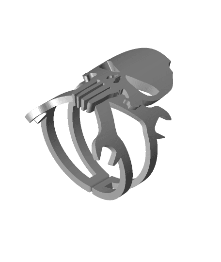Punisher Ring.stl by 3DDesigner full viewable 3d model