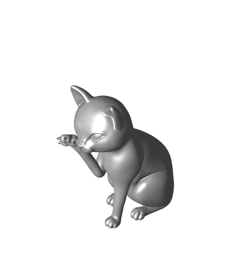 Cat Scratch 3d model