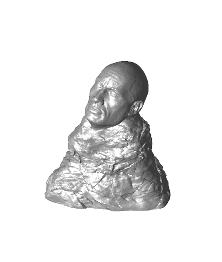 The Rock on a rock 3d model
