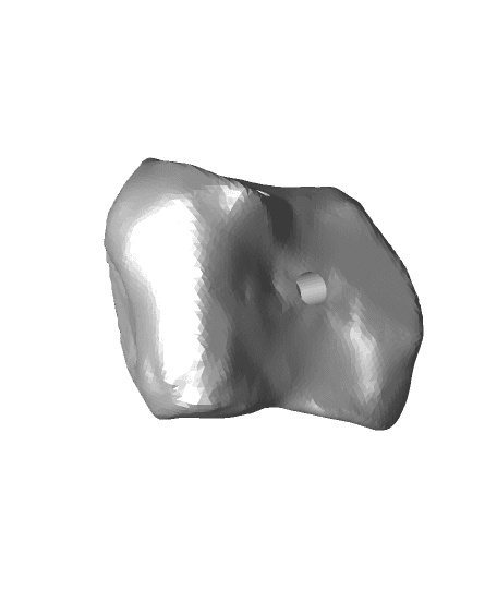 Medial Cuneiform.stl 3d model