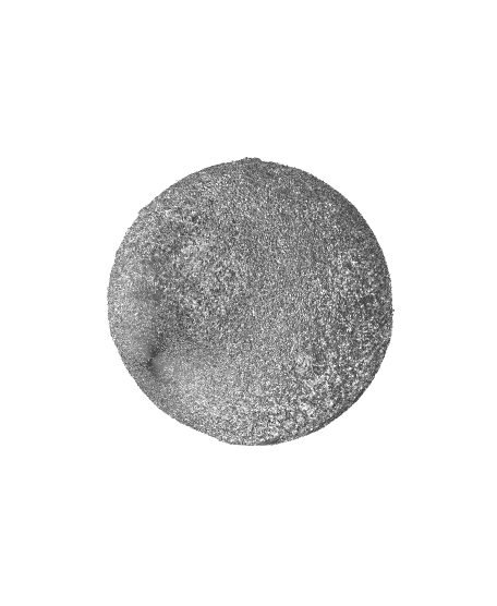 Moon 100mm.stl 3d model