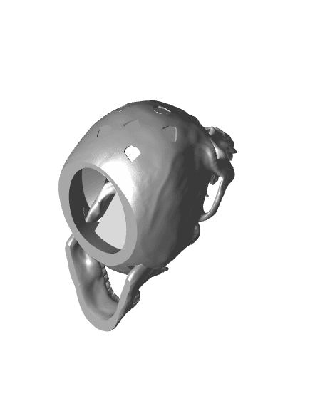 Skull_Punk.stl 3d model