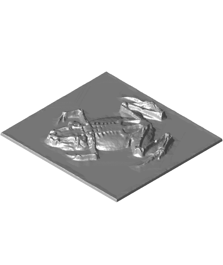 frog low relief (X-ray image) 3d model