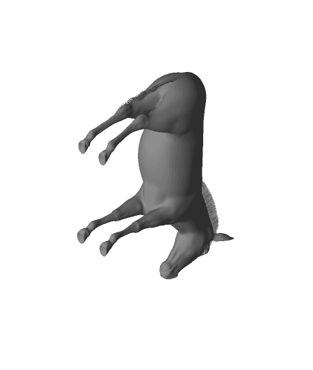 Zebra Animal 3D Model 3d model