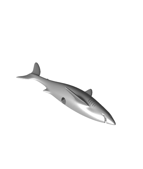 reef_shark_right_side.stl 3d model