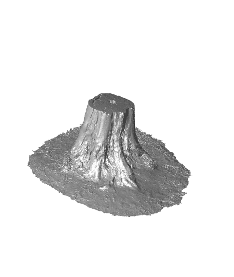 3D Scanned Tree Stump for Tabletop Scatter Terrain 3d model