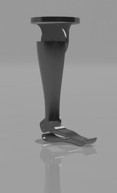 Prosthetic Leg 3d model