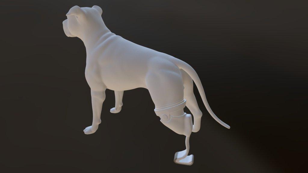 # 052 Back Leg Prosthetic Dog 3d model
