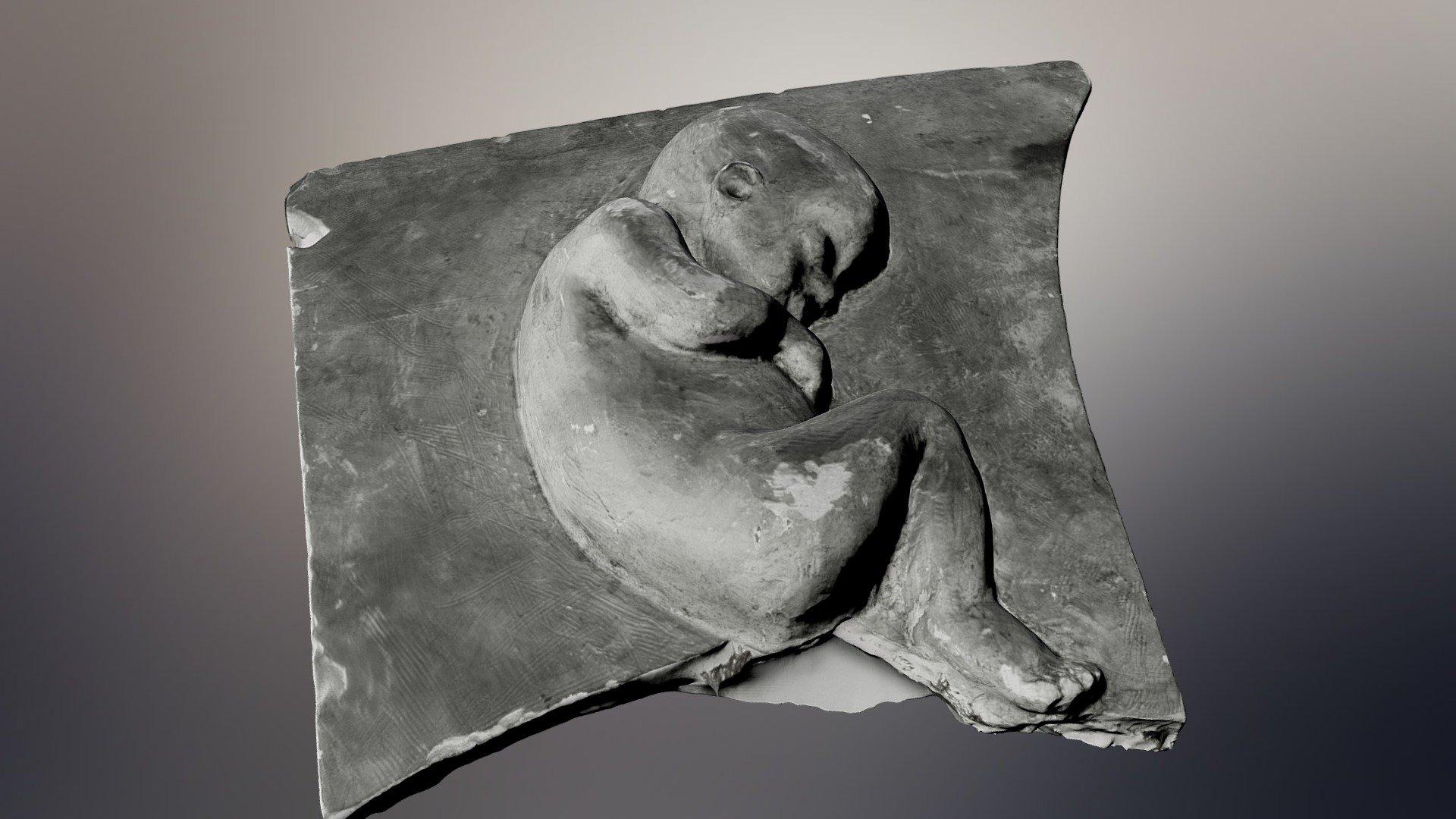 Барельеф Эмбрион | Bas-relief Embrio 3d model
