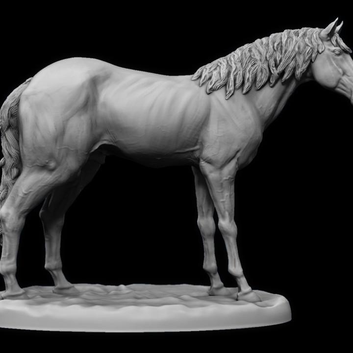Horse Tabletop miniature 3d model