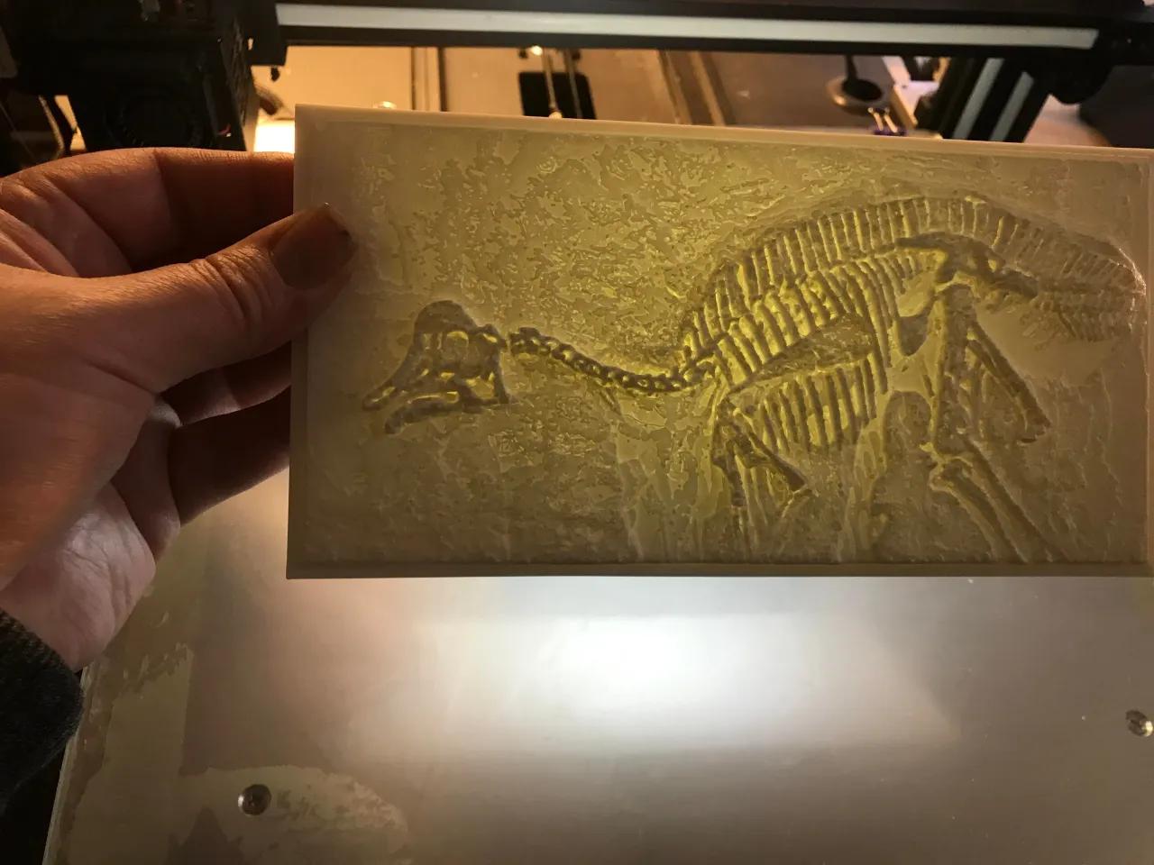 dino fossil Relief litho 3d model