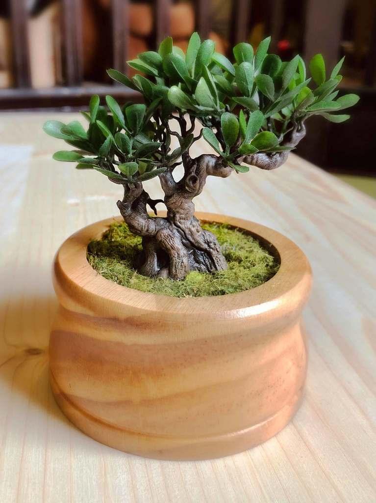 Miniature Bonsai Tree 3d model