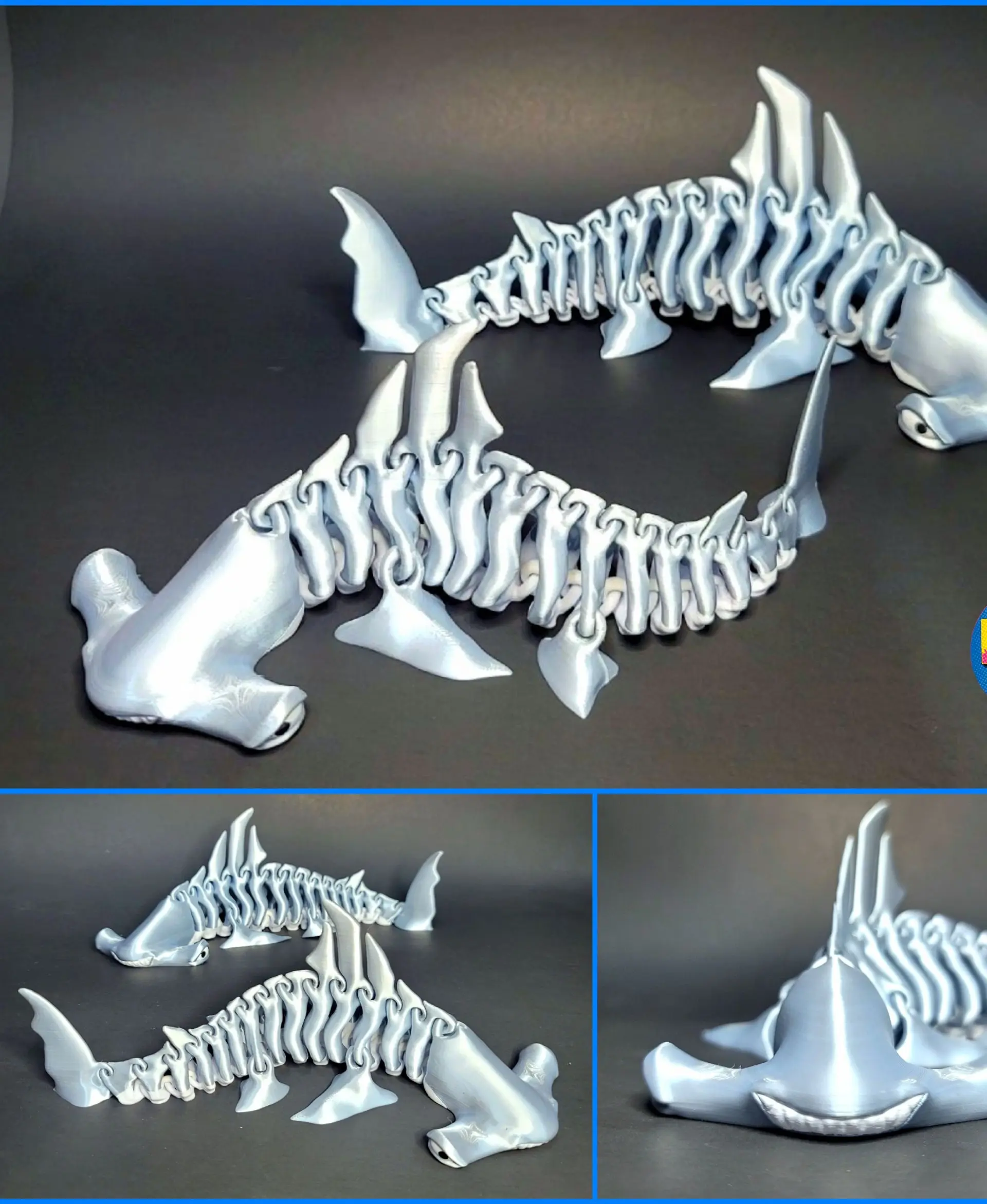 Hammerhead Model Making Hammerhead Shark Bones - 3D model by littletup on Thangs