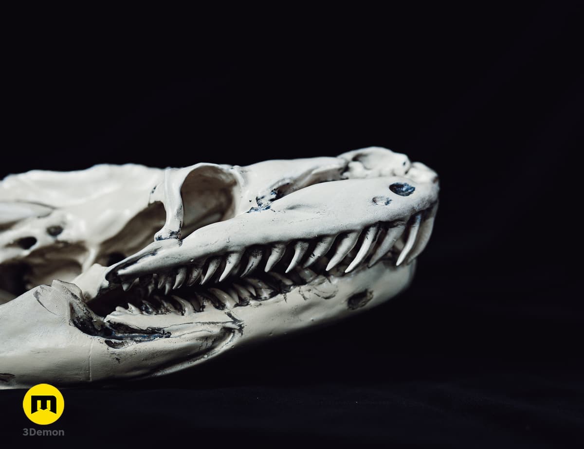 Tree Python Snake Skull Python Snake Skull - 3D model by 3D-mon on Thangs - Image 3 of 11
