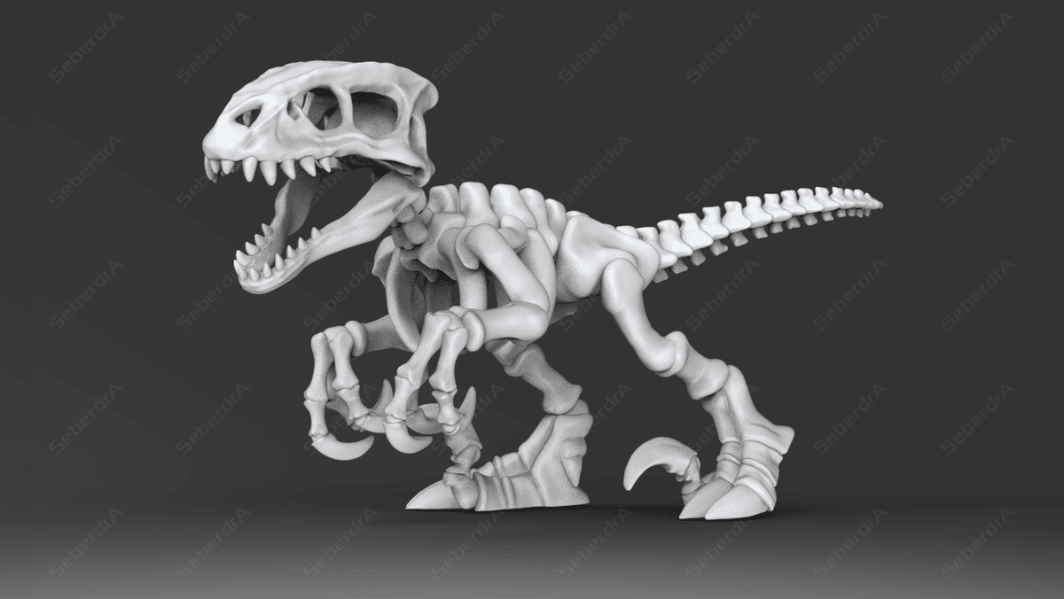 Transparent Raptor Skeleton Cute Raptor Skeleton - 3D model by seberdra on Thangs