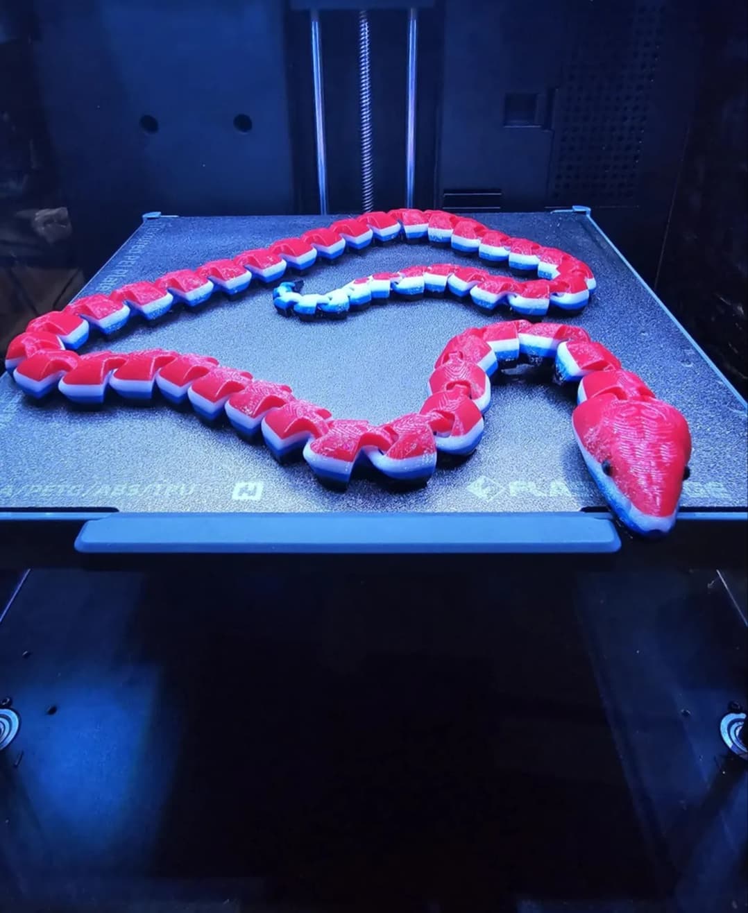 Segmented Snake Image segmented snake - 3D model by 3d engineering fun on Thangs