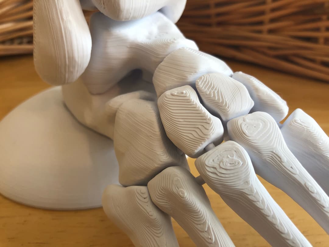 Simplehuman Foot Full Size Anatomically Correct Human Foot Model - 3D model by ...