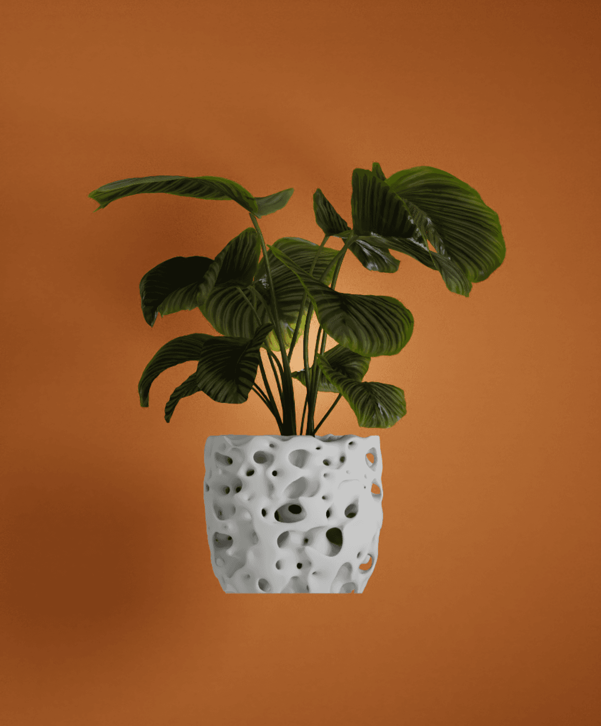 Rollo Model Nest ~ Planter ~ V16 - 3D model by Rollo Studio on Thangs