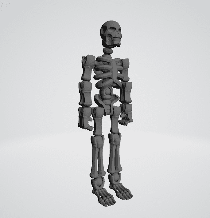 Bundle Skeleton 15-pieces Snap-together Toy Skeleton Assembly - 3D model by Yaliyada on ...