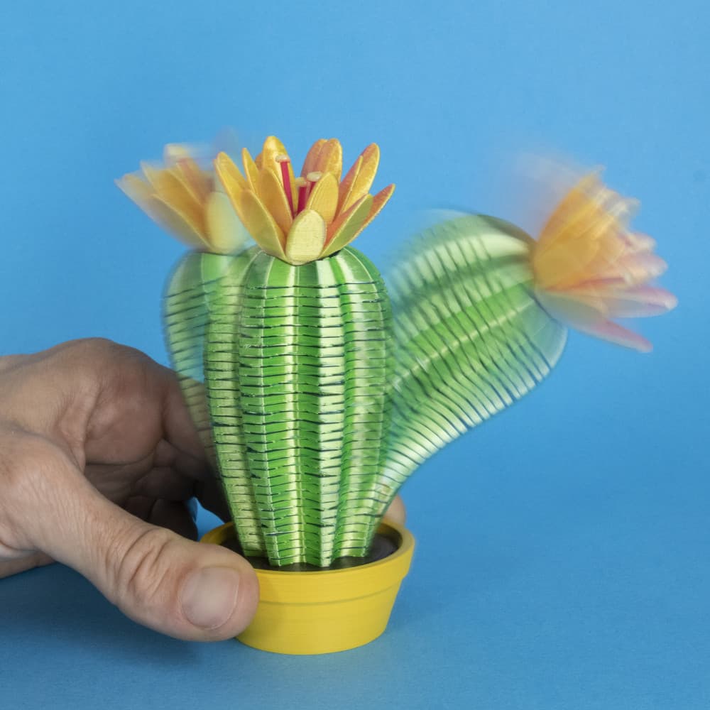 Springo Cactus Trichocereus - 3D model by Make Anything on Thangs