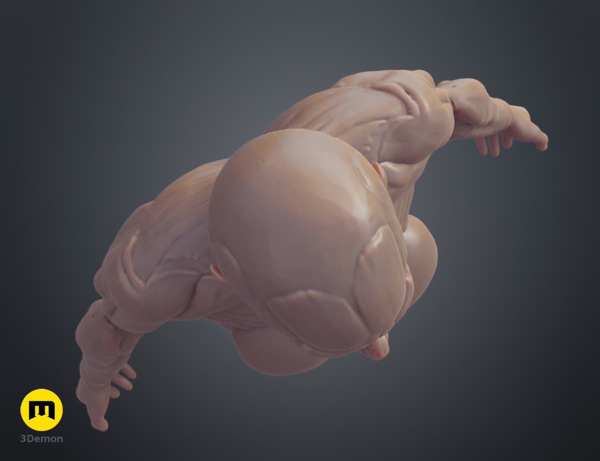 Ecorche Inmotion Female ecorche - 3D model by 3D-mon on Thangs - Image 3 of 12