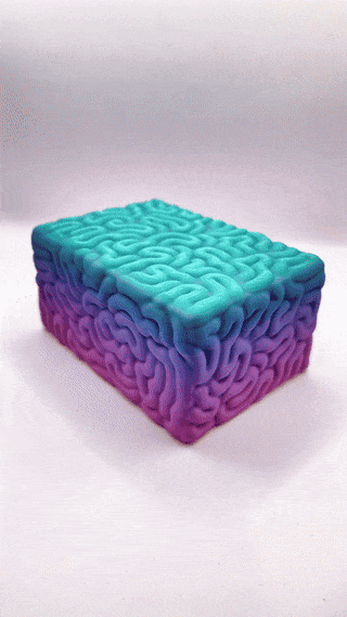 Brain Box Model Brain Box - 3D model by 3DGeex on Thangs
