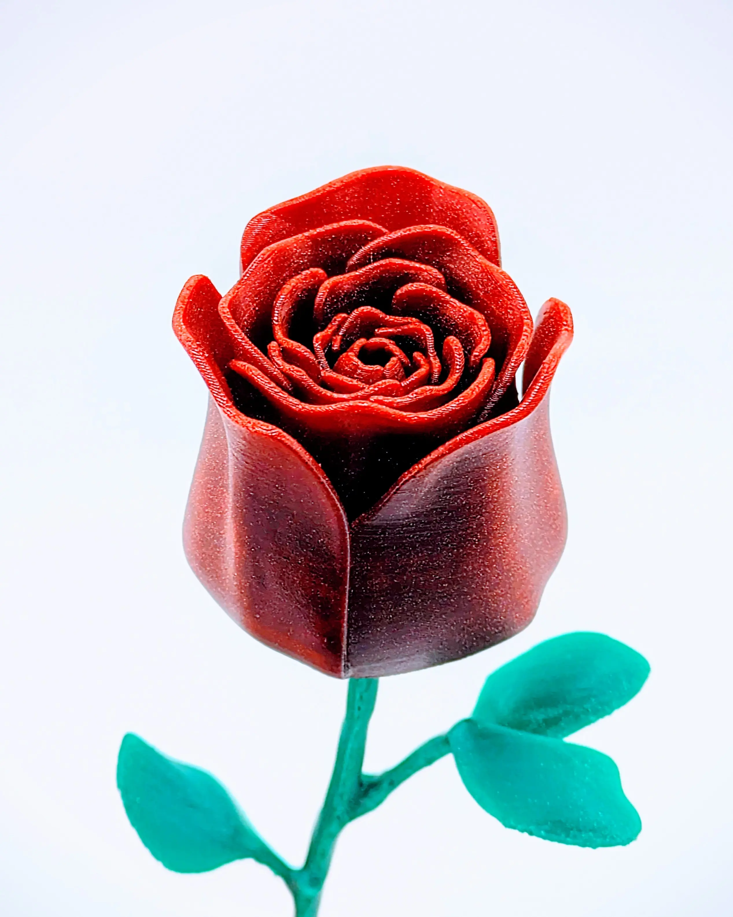 Rose Modelling Rose - 3D model by RWBDesigns on Thangs