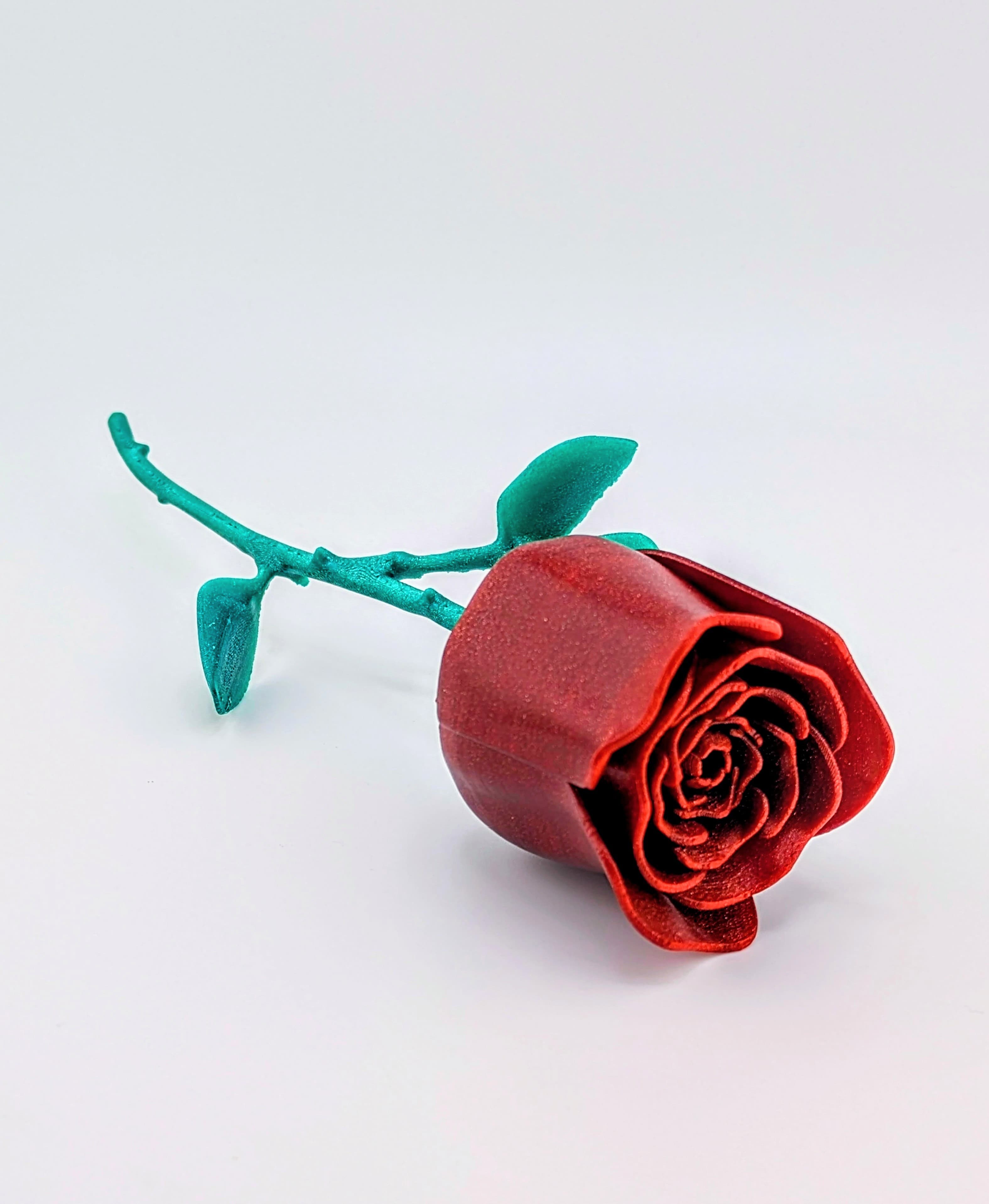 Rose Modelling Rose - 3D model by RWBDesigns on Thangs