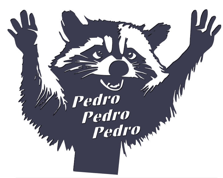 Pedro Racoon Icon Shadow Art Decoration - Racoon Pedro - 3D model by maker.ibby on Thangs