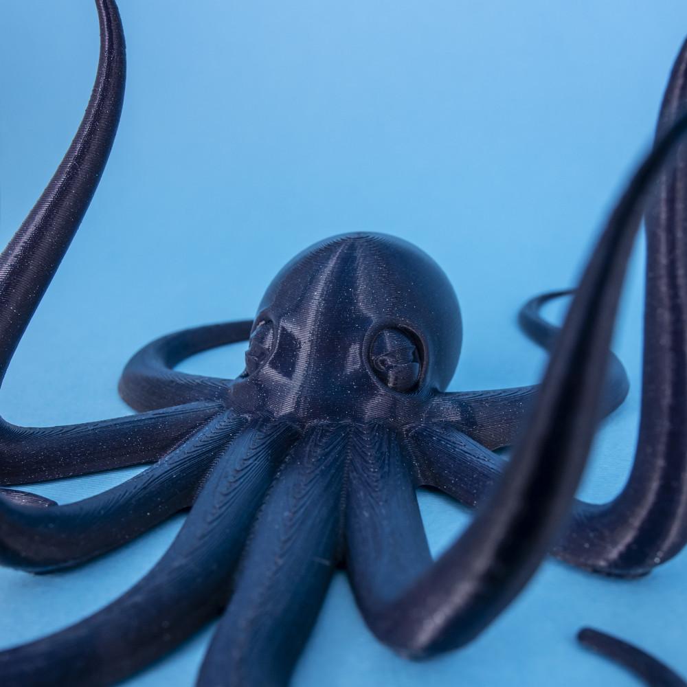 Octopus Wall Art/Hanger 3d model