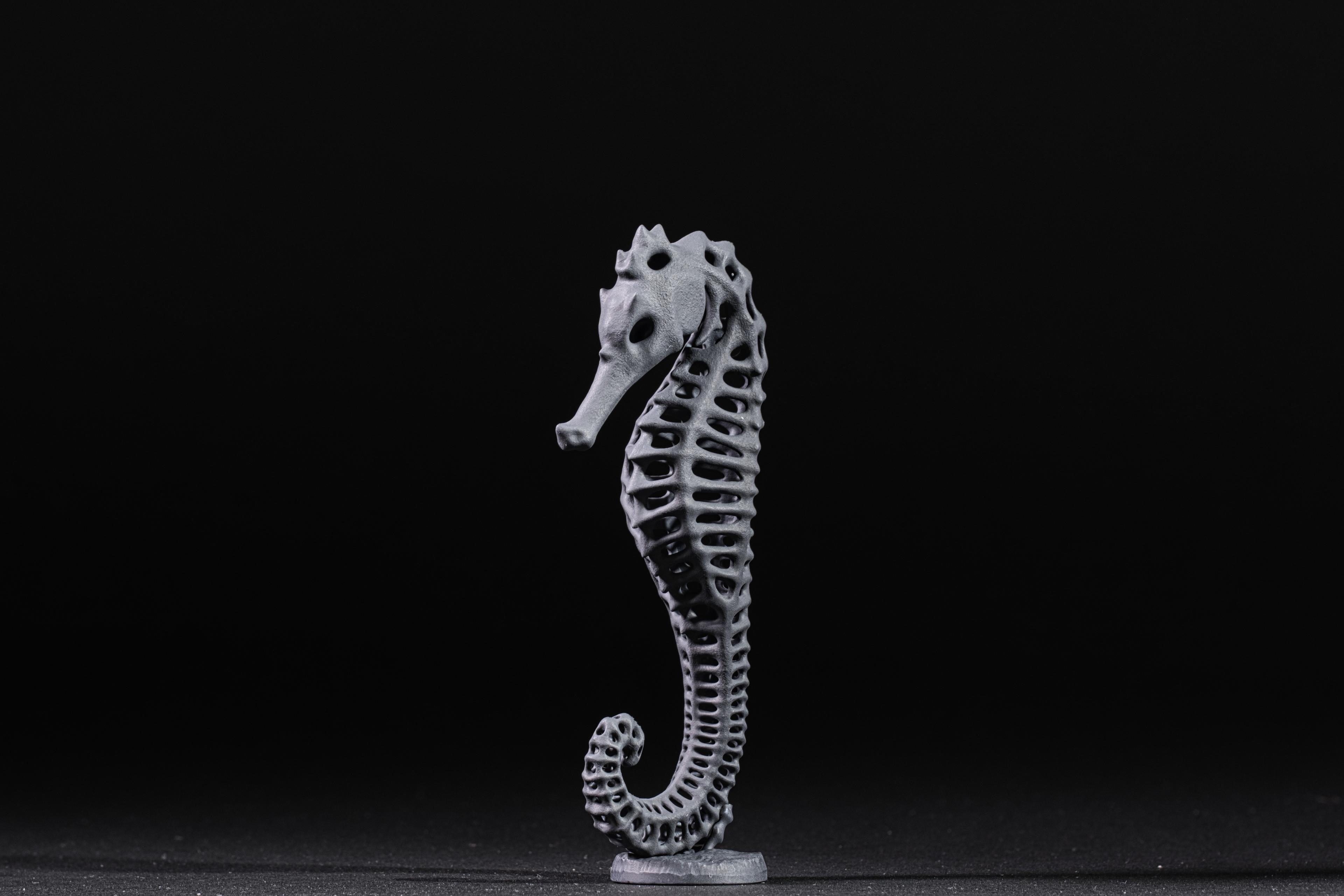 Seahorse Exoskeleton with Base 3d model
