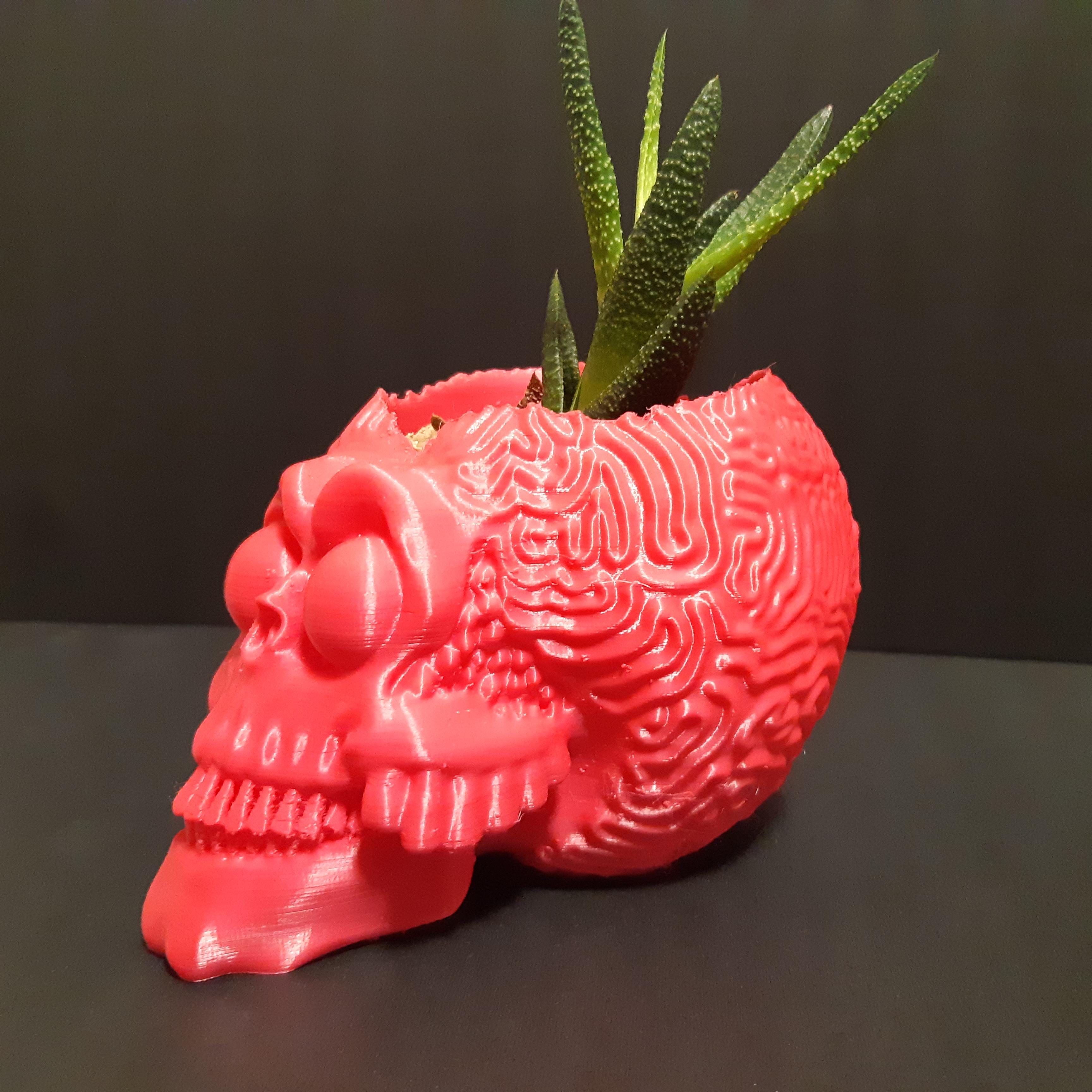 MARTIAN SKULL PLANTER - WITH OR WITHOUT DRAINAGE 3d model