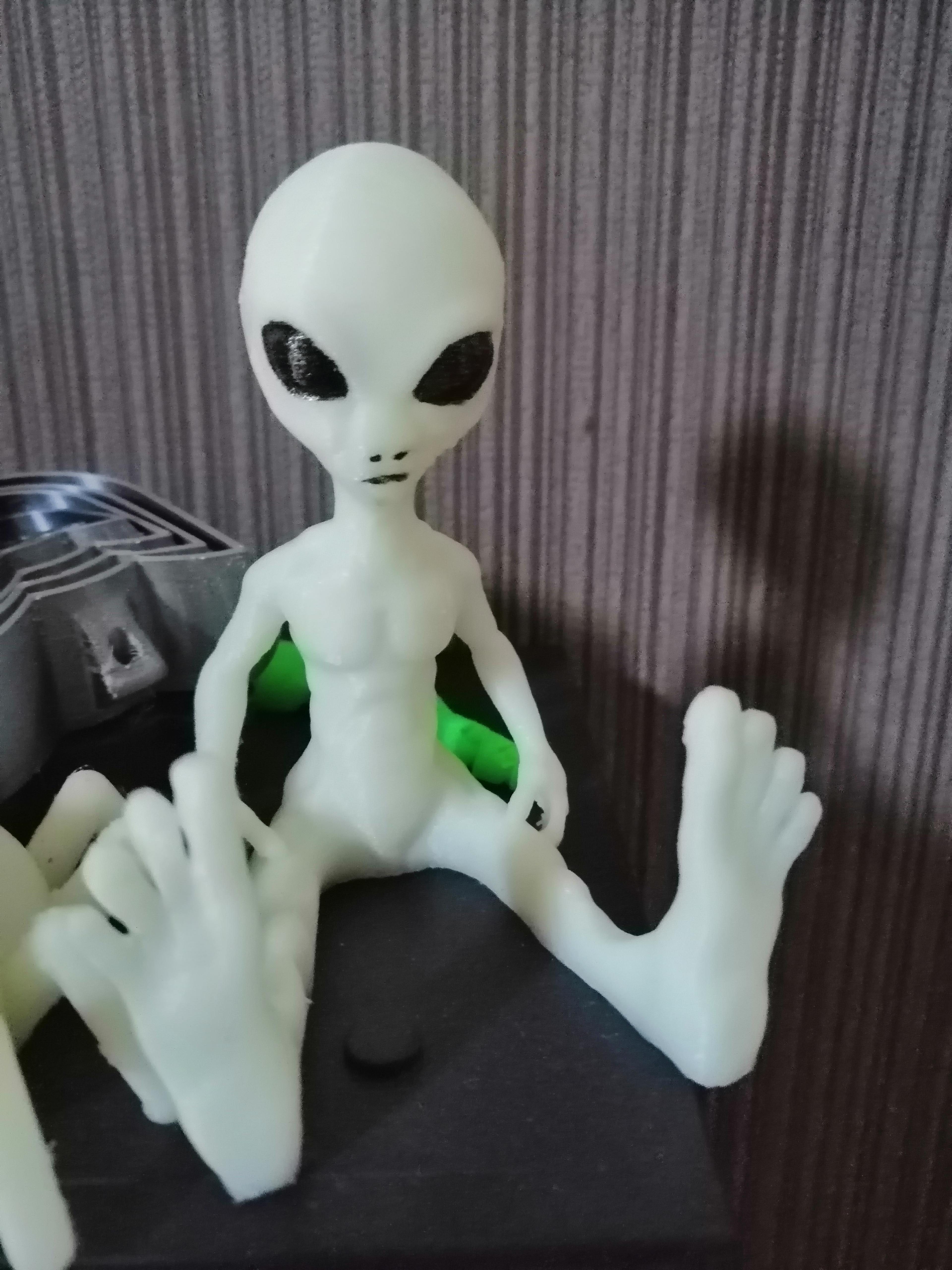 I Want to Believe 🛸 - Printed in green nightglowing PLA.. - 3d model