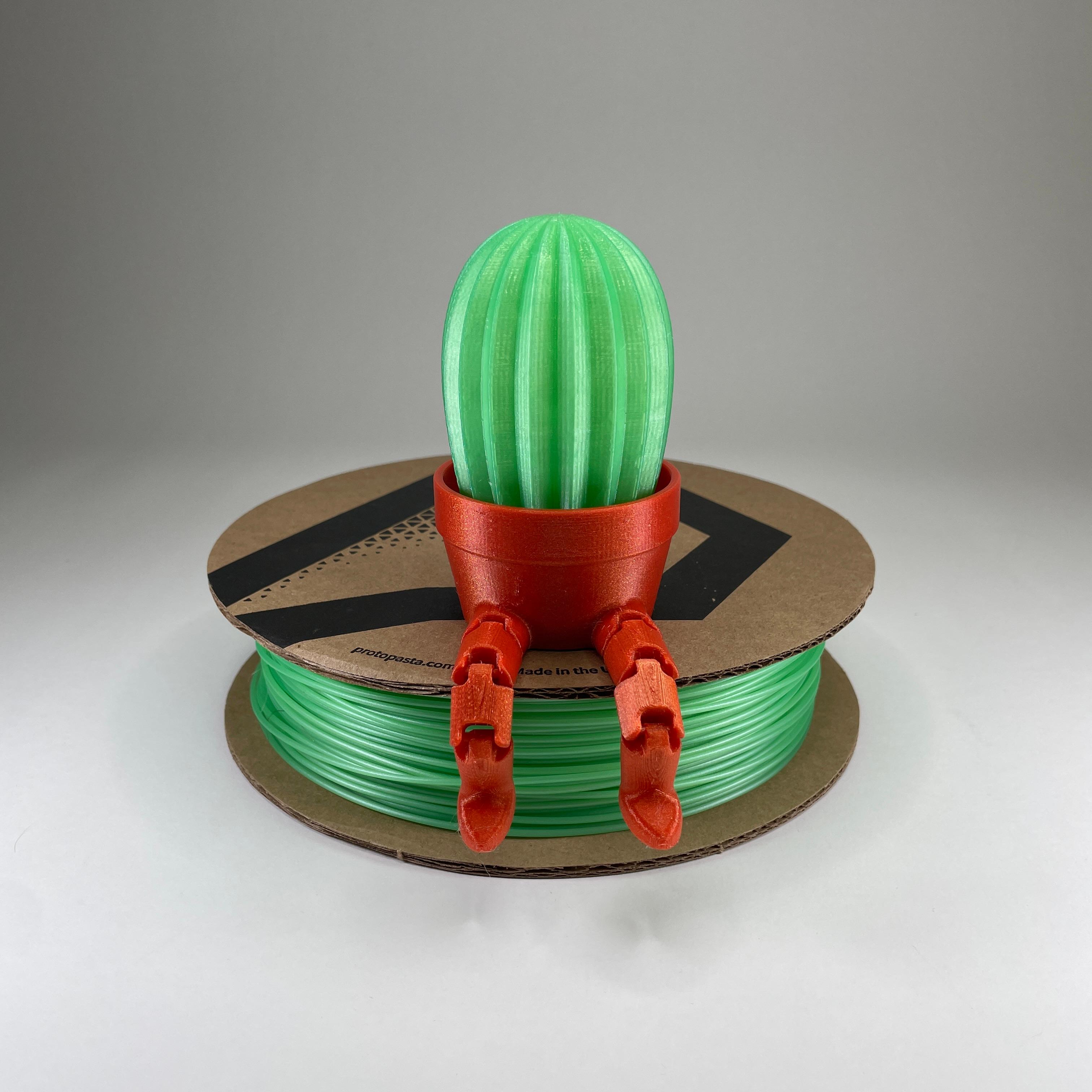 Cactus Pal 3d model