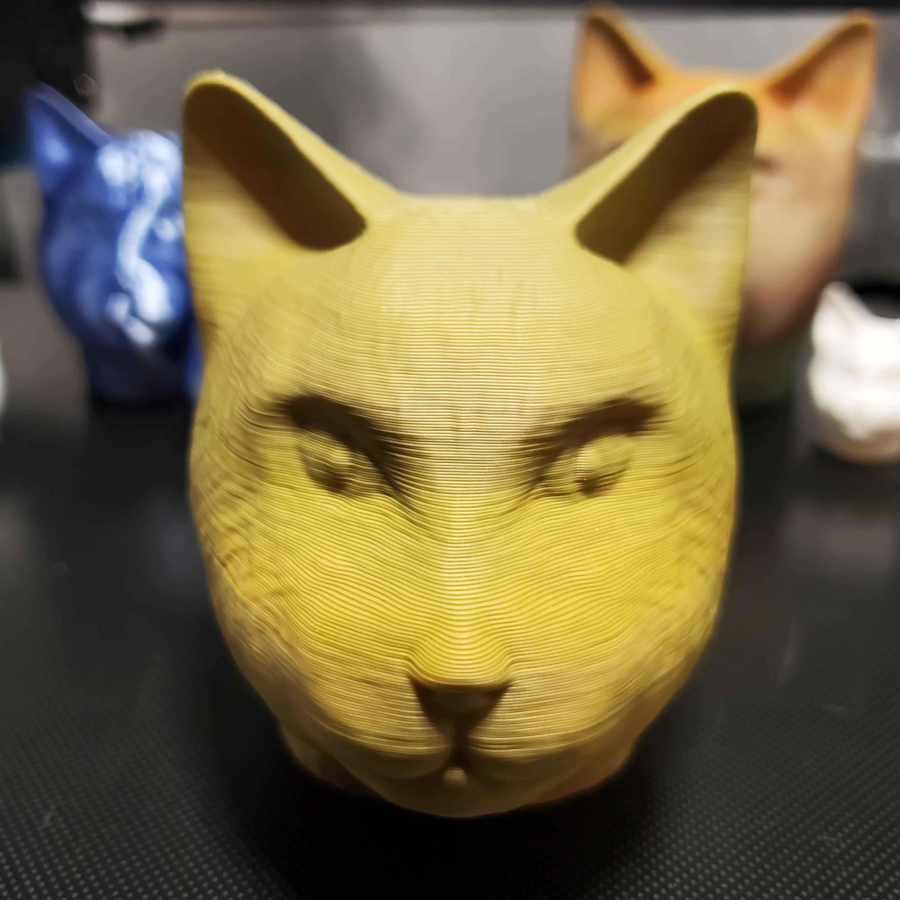 Cat Head v2 [DETAILED] - Front Shot of  'Cat Head v2' ; FDM printed. - 3d model
