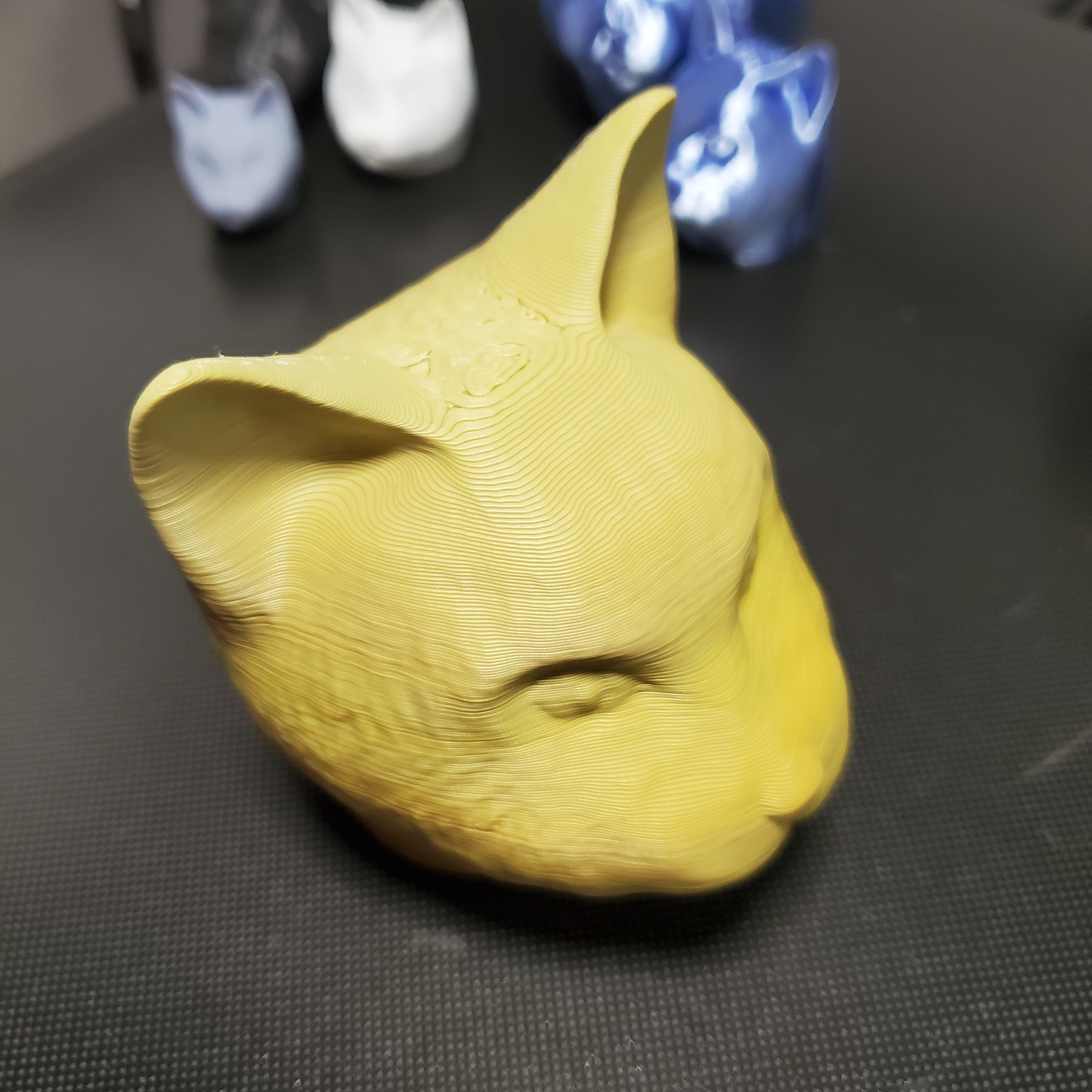 Cat Head v2 [DETAILED] - Top-Angle Shot of  'Cat Head v2' ; FDM printed. - 3d model