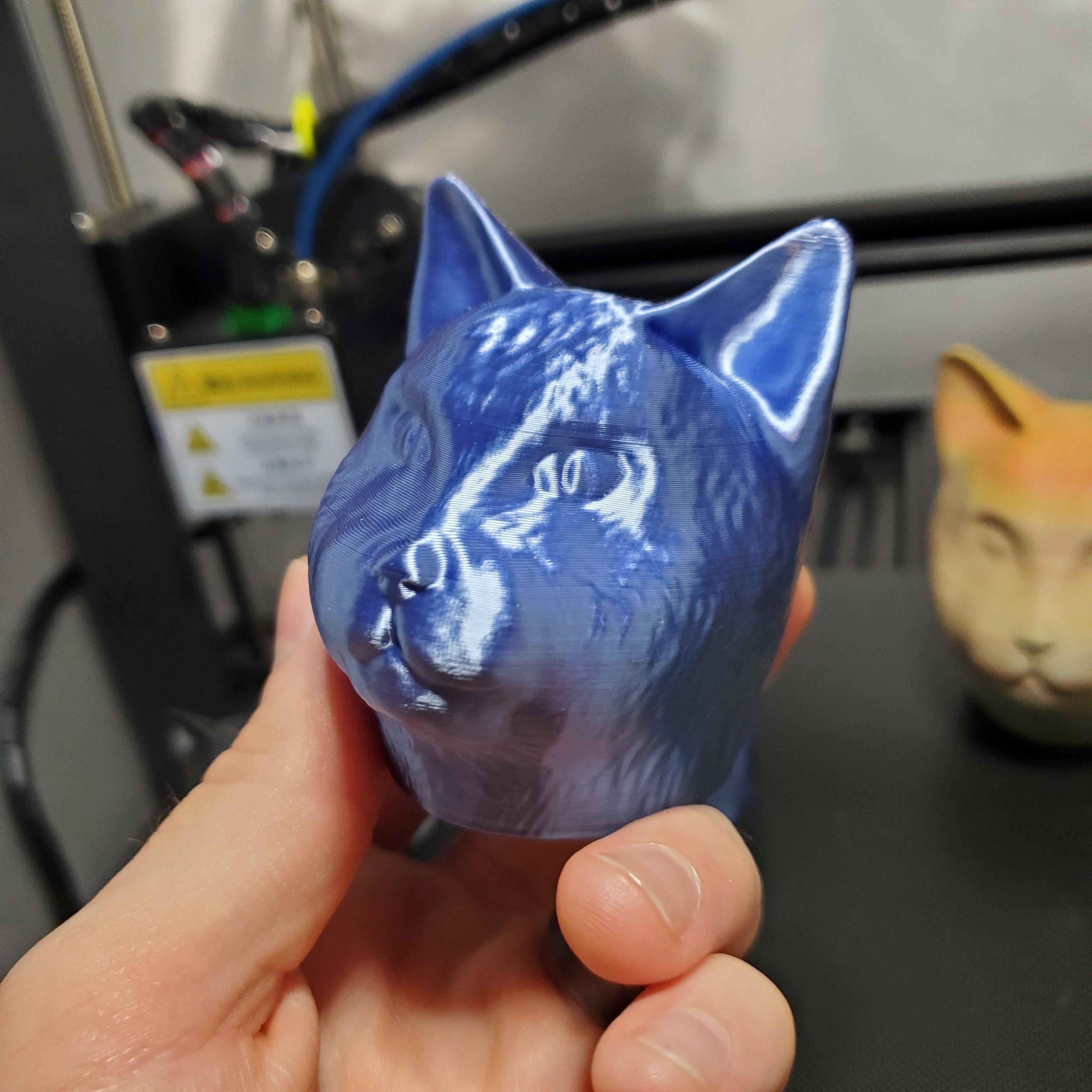 Cat Head v2 [DETAILED] - Shiny Blue Silk FDM printed  'Cat Head v2' ; - 3d model