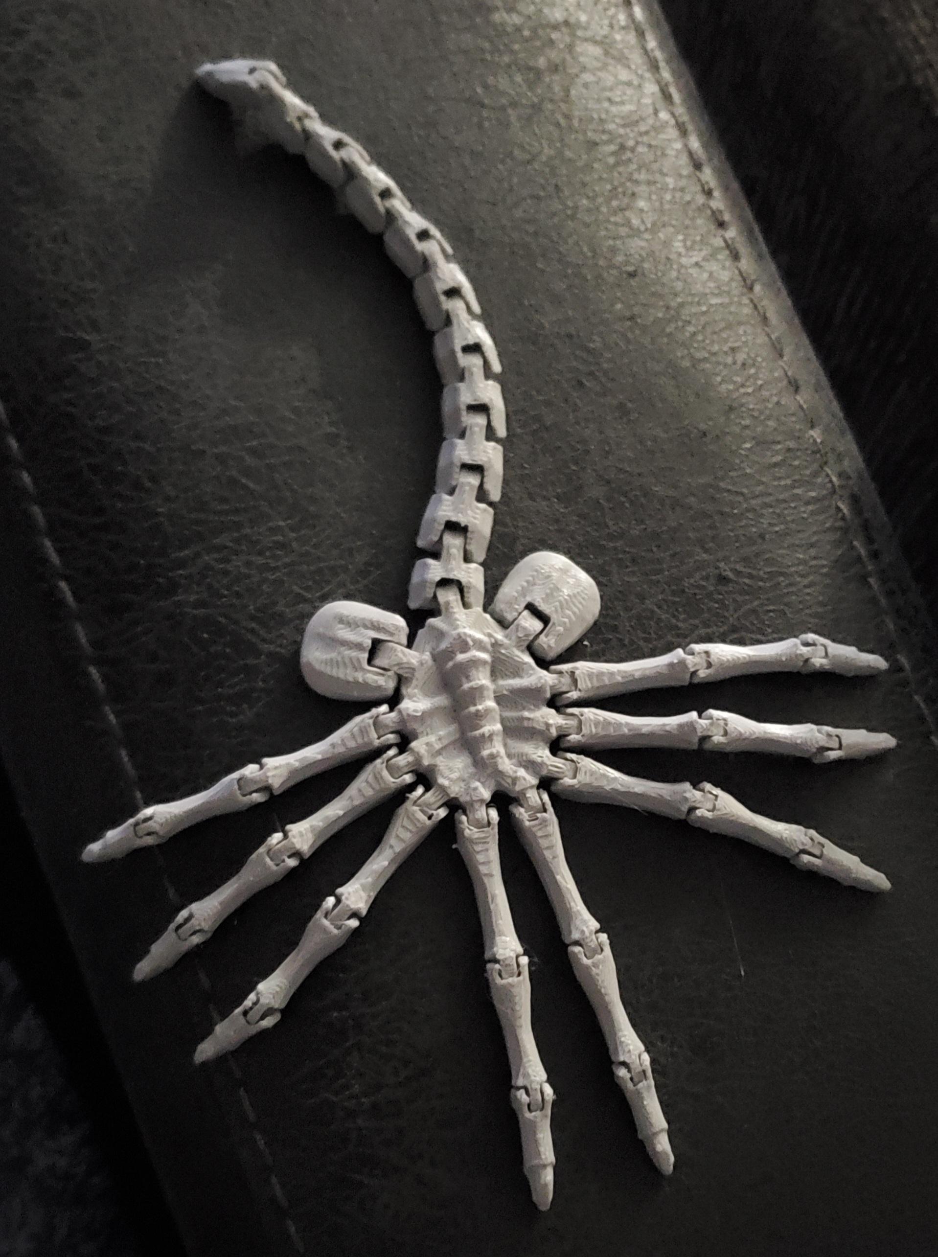 Flexi print-in-place Facehugger - Love this print. - 3d model