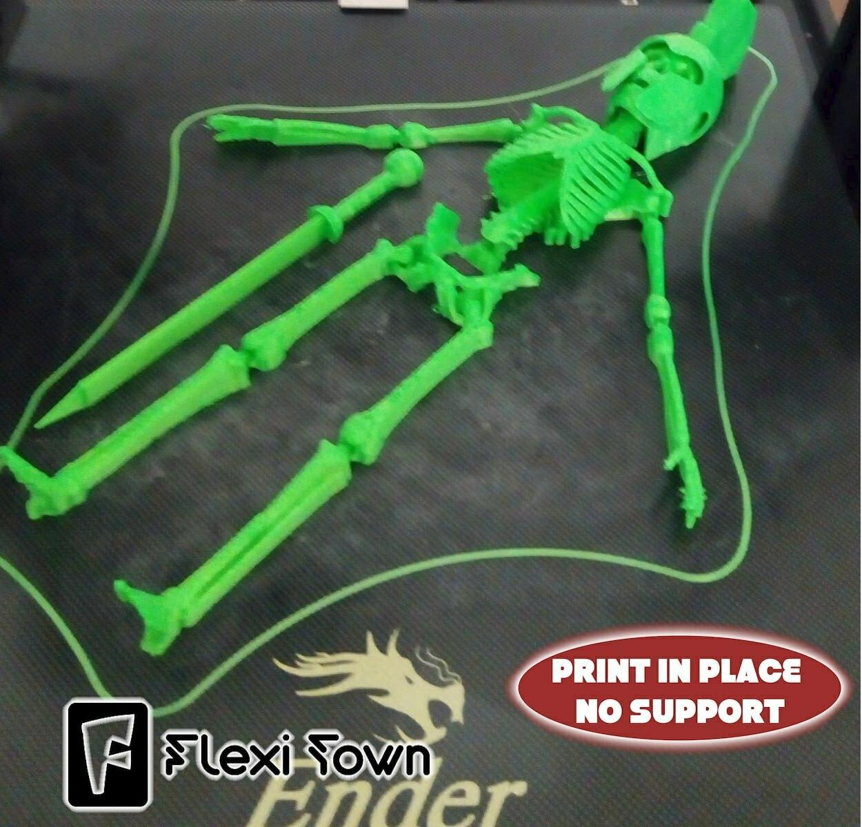 Flexi Print-in-Place Skeleton Warrior 3d model